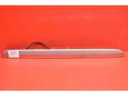 Kennzeichenleuchte Volvo S80 I (184)