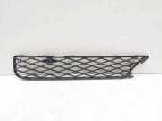 Gitter vorne unten MERCEDES-BENZ R (W251, V251) R 320 CDI 4-matic (251.022, 251.122) A2518850153