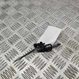 Einspritzdüse VW T-ROC (A11) 1.5 TSI 05E906036A 026150006Z