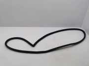 Türgummi rechts vorne Toyota Corolla Kombi (E12)