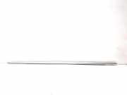 Fensterleiste Tür vorne rechts