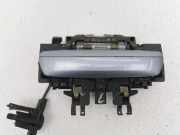 Türaußengriff vorne links AUDI A8 D3 (4E2, 4E8) 3.0 TDI quattro