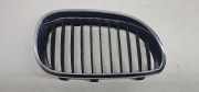 Vorderer oberer Gitter BMW 5 (E60) 520 d 7065702