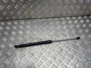 Heckklappe Gasdruckfeder rechts RENAULT LAGUNA III (BT0/1) 2.0 dCi (BT01, BT09, BT12, BT1S) 844300001R