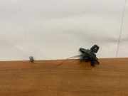 Lenkrad-Einstellknopf