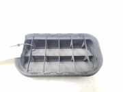 Ziergitter Ford Fusion (JU)