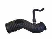 Andere Röhren RENAULT KOLEOS I (HY_) 2.0 dCi 4x4 (HY0K) 1026324S01