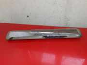 Kennzeichenbeleuchtung Verkleidung NISSAN PATHFINDER III (R51) 2.5 dCi 4WD 90810EB60 NSH0991011