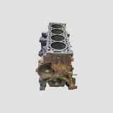 Motorblock CITROËN C5 III Break (TD_) 2.0 HDi 165 RH02