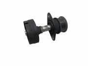 Riemenscheibe für Generator Ford Focus (DAW, DBW) 9LBE1