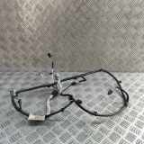 Kabelbaum Hinteren Parksensoren LAND ROVER RANGE ROVER EVOQUE (L538) 2.0 D 4x4 JJ32-15B484-BA