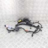 Kabel der vorderen linken Tür VW ID.3 (E11) Pro 2039504302