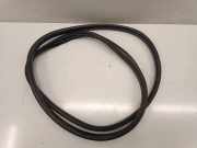 Türgummi rechts vorne Mini Mini Countryman (F60)