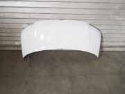 Motorhaube VW TRANSPORTER V (T5) Furgon 2.5 TDI