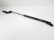 Heckklappe Gasdruckfeder rechts TOYOTA YARIS (_P13_) 1.3 (NSP130_) 689500W641