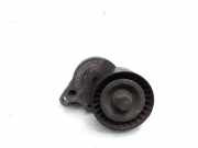 Riemenspanner RENAULT MASTER III Furgon (FV) 2.3 dCi 100 FWD (FV0A, FV0B, FV0G, FV0K) 8200941079