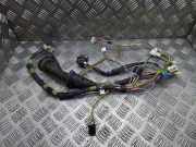 Kabel der vorderen linken Tür TOYOTA PRIUS Hatchback (_W2_) 1.5 (NHW2_)