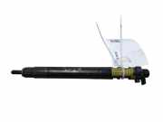 Einspritzdüse FORD GALAXY III (CK) 2.0 TDCi 9686191080