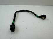 Klopfsensor Maserati Quattroporte VI () 0261231223