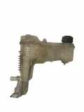 Ausgleichsbehälter RENAULT LAGUNA III (BT0/1) 2.0 dCi (BT01, BT09, BT12, BT1S) 217100014R