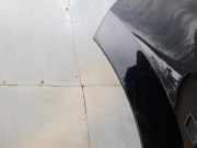 Kotflügel vorne links CAYC