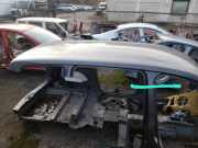 Dach VW SHARAN (7N1, 7N2) 2.0 TDI