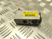 Expansionsventil für Klimaanlage Ford Fiesta VI (CB1, CCN) 330001