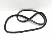 Türdichtung BMW 5er (F10)