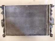 Kühler Land Rover Range Rover Evoque I (L538) 989721G