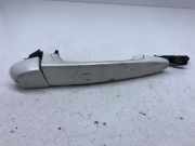 Türaußengriff hinten rechts BMW X5 (E70) xDrive 35 d