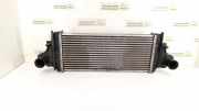 Ladeluftkühler MERCEDES-BENZ R (W251, V251) R 280 CDI 4-matic (251.020) 2515000000
