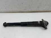Pneumo-Stoßdämpfer hinten links VW ID.3 (E11) Pro S 1EA512011AD