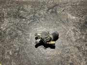 Scheibenwischermotor SUBARU FORESTER (SF_) 2.0 AWD