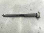 Stoßdämpfer hinten links MERCEDES-BENZ C (W204) C 220 CDI (204.002) A2043260500