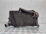 Ladeluftkühler AUDI A8 D3 (4E2, 4E8) 2.8 FSI 4E0145808F