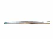 Dachreling links AUDI Q4 SUV (F4B) 45 e-tron quattro 89A860022A