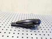 Türaußengriff hinten links BMW X1 (E84) xDrive 25 d