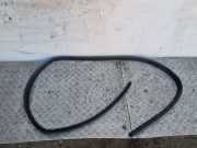 Türgummi links vorne Ford Focus IV (HN) B249