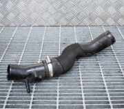 Schlauch für Luftversorgung Ford Fiesta VII (HJ, HF) H1B16F073EB
