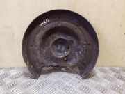 Rear Brake Disc Protection