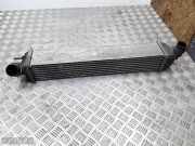 Ladeluftkühler Renault Laguna Coupe (T) 144960001RH9493005