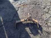 Anhängerkupplung Chrysler Voyager IV (RG)