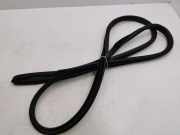 Türgummi rechts vorne Lexus NX 1 ()