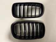 Vorderer oberer Gitter BMW X6 (F16, F86) xDrive 30 d 7316076