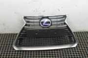 Gitter LEXUS IS III (_E3_) 300h (AVE30_)