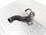 Andere Röhren RENAULT CLIO III (BR0/1, CR0/1) 1.5 dCi (C/BR0G, C/BR1G) 8200500383