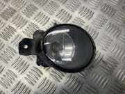 Nebelscheinwerfer links RENAULT LAGUNA II (BG0/1_) 2.2 dCi (BG0F) 8200002469