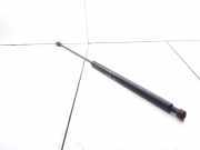 Gasfeder für Motorhaube Citroen C5 I Break (DE)