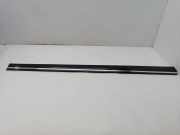 Türzierleiste vorne rechts MERCEDES-BENZ C (W203) C 220 CDI (203.006) A2036905062