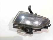 Nebelscheinwerfer links HYUNDAI SONATA V (NF) 2.0 CRDi